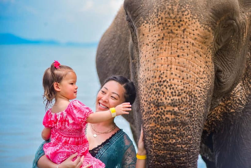 Phuket:Beach walk with elephants, rain & care. 2.5 hours - The welcome and elephant-care briefing