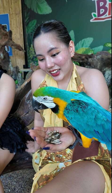 Phuket: Bird Park Entry Ticket - Key points before you go