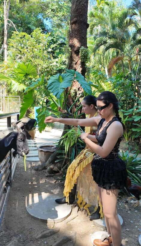 Phuket: Bird Park Entry Ticket - A nature stop away from Phuket’s beaches