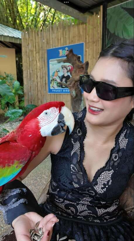 Phuket: Bird Park Entry Ticket - The animal-welfare question