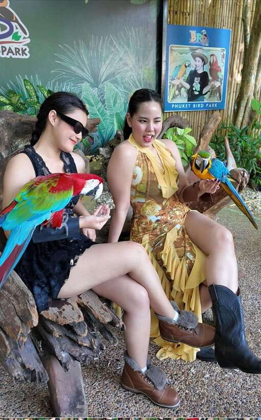 Phuket: Bird Park Entry Ticket - Is $28 good value?