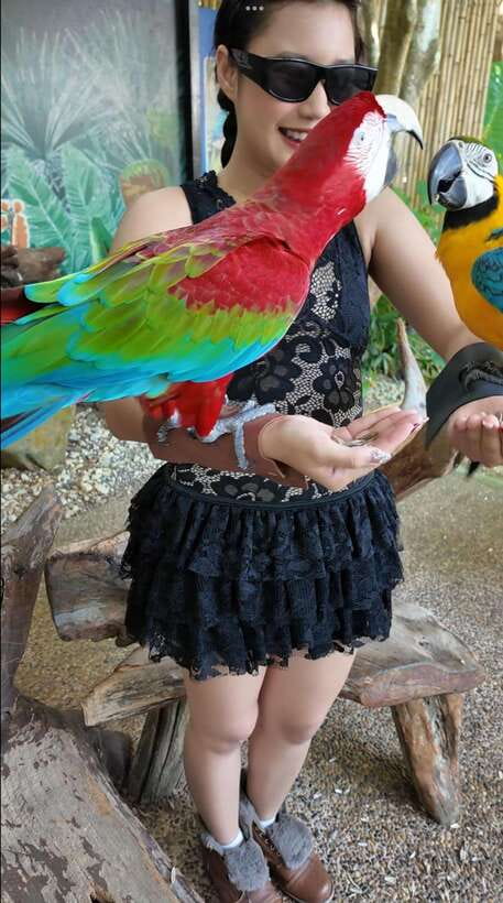 Phuket: Bird Park Entry Ticket - Who is likely to enjoy this visit?