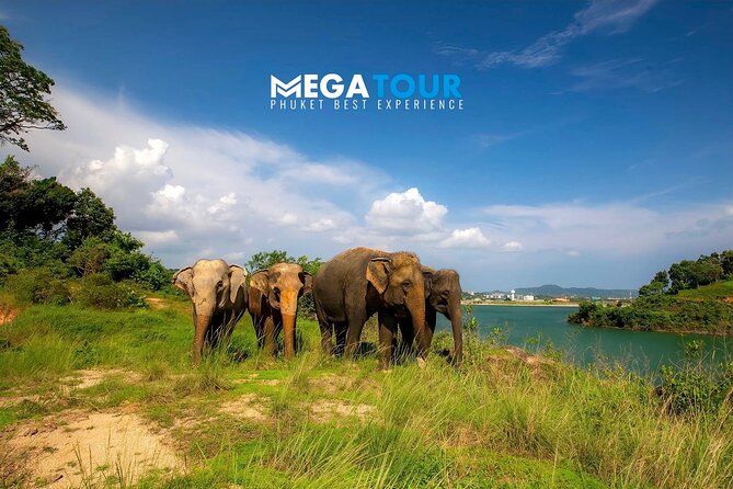 Phuket City Tour & Elephant Sanctuary – Town, Temple, Food & View - Lunch is a proper pause, not just a snack stop