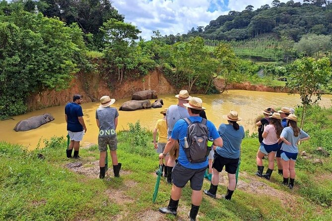 Phuket City Tour & Elephant Sanctuary – Town, Temple, Food & View - Who should book this tour?