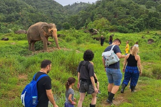 Phuket City Tour & Elephant Sanctuary – Town, Temple, Food & View - Bukit Elephant Park is the day’s main event