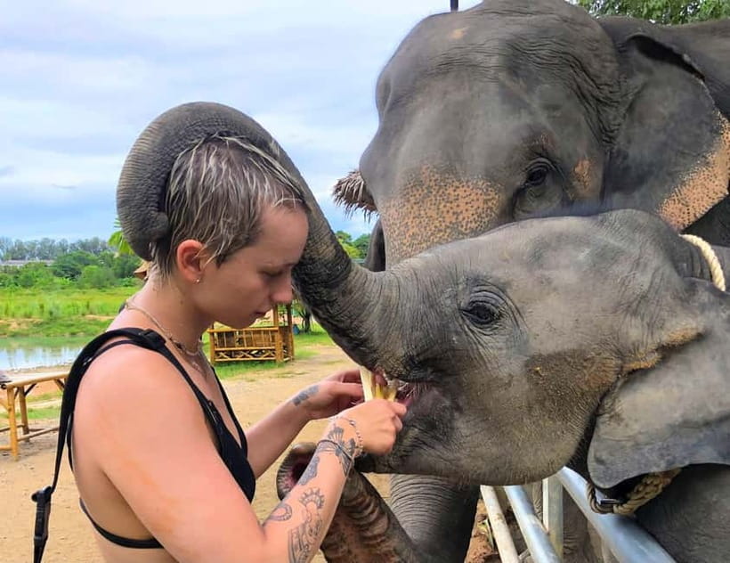 Phuket City Tour with Night Market Visit & Elephant Feeding - The useful details at a glance