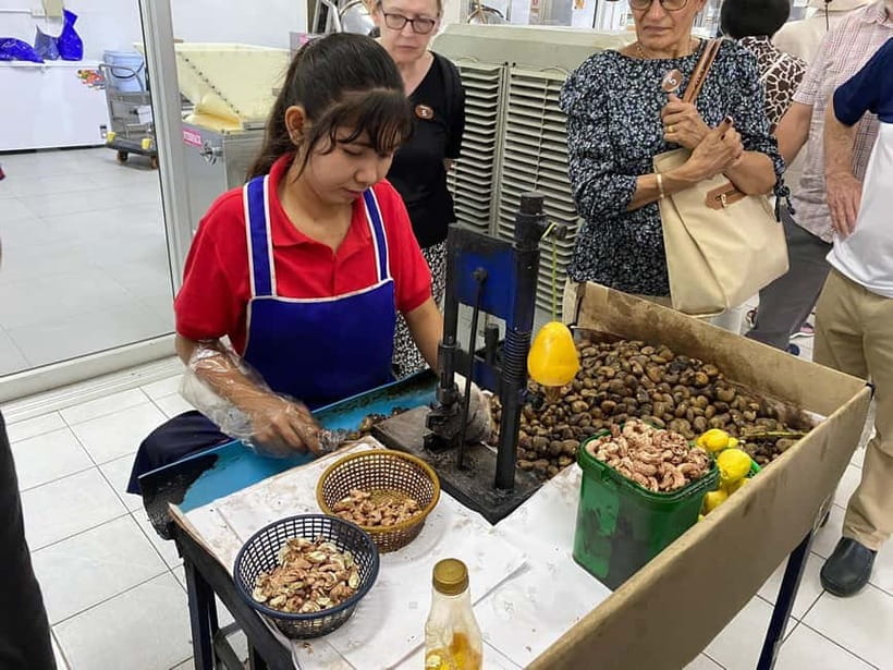 Phuket City Tour with Night Market Visit & Elephant Feeding - Phuket’s viewpoints set the scene