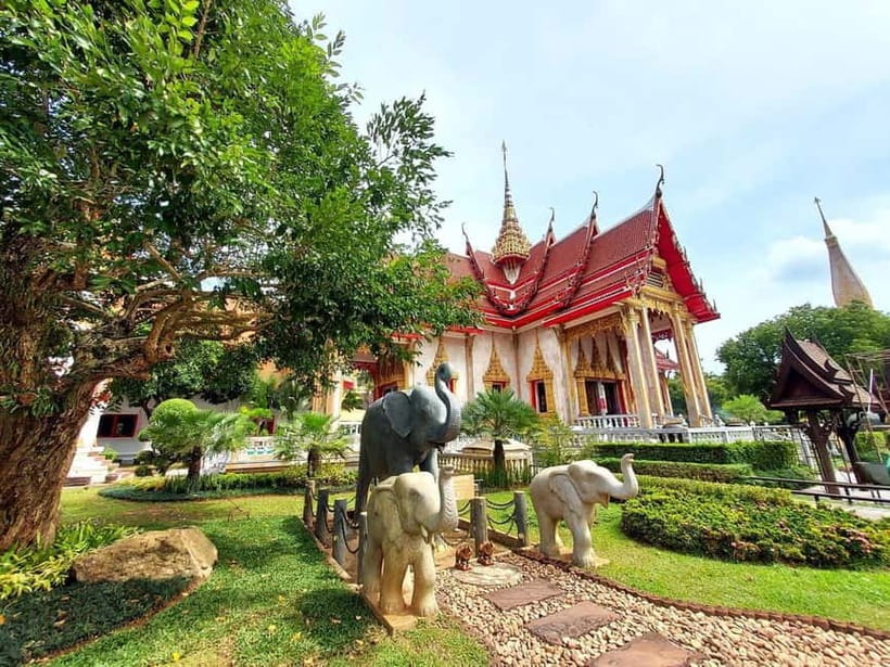 Phuket City Tour with Night Market Visit & Elephant Feeding - Feeding elephants at Phuket Elephant Care