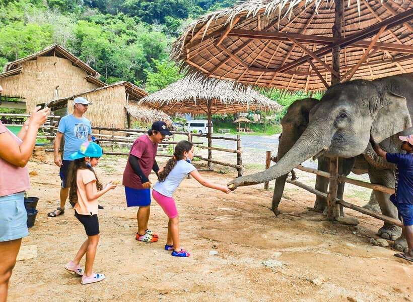 Phuket City Tour with Viewpoints, Temples & Elephant Feeding - Feeding elephants at Phuket Elephant Care