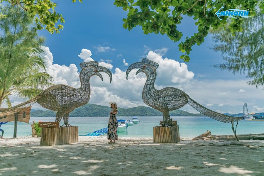 Phuket: Coral Island Day Tour by Speedboat - Who should choose this trip?