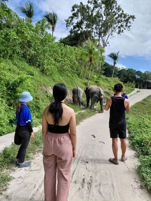 Phuket: Eco Guided Tour at Elephant Sanctuary - Why the sanctuary skips forced bathing and mud play