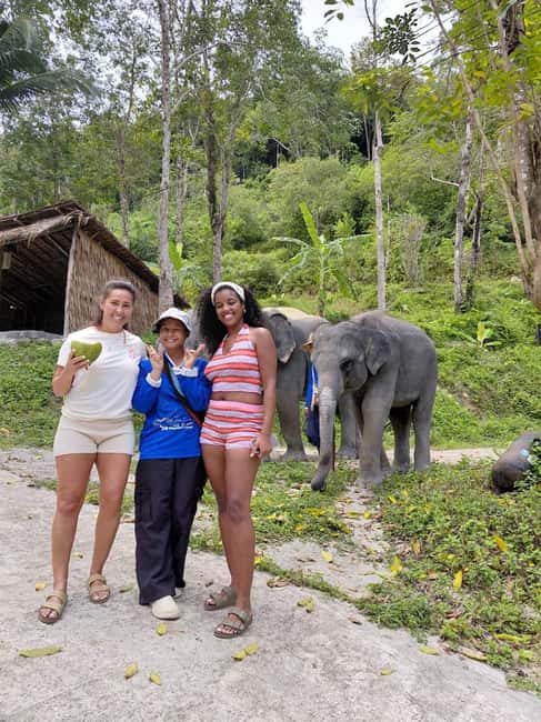 Phuket: Eco Guided Tour at Elephant Sanctuary - The briefing: elephants, mahouts, and daily care