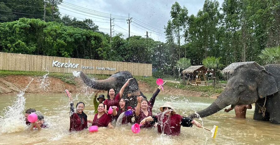Phuket: Elephant Experience with Lunch or Dinner and Pickup - What makes this elephant visit distinctive