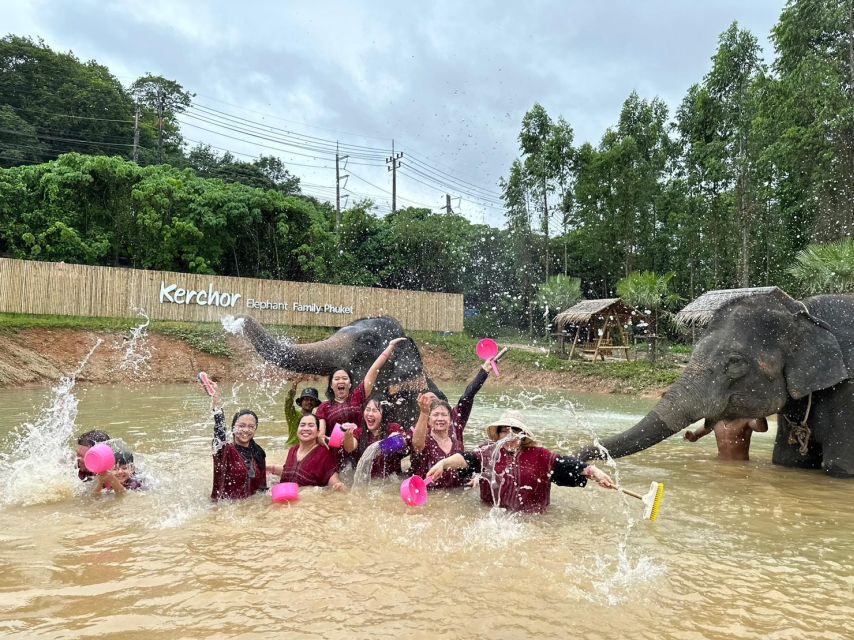 Phuket: Elephant Experience with Lunch or Dinner and Pickup - A practical note on animal welfare