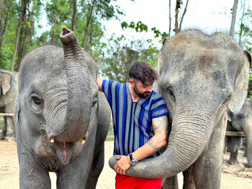 Phuket: Elephant Experience with Lunch or Dinner and Pickup - A half-day built around close elephant encounters