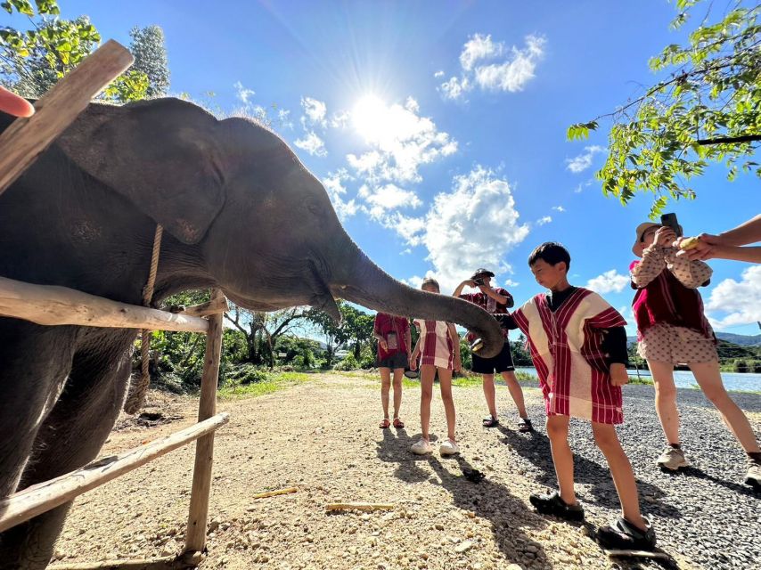 Phuket: Elephant Experience with Lunch or Dinner and Pickup - Karen culture, tie-dye, and herbal tea