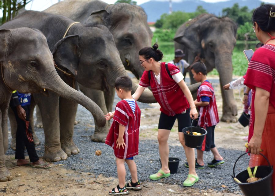 Phuket: Elephant Experience with Lunch or Dinner and Pickup - What $67 buys, and who gets good value