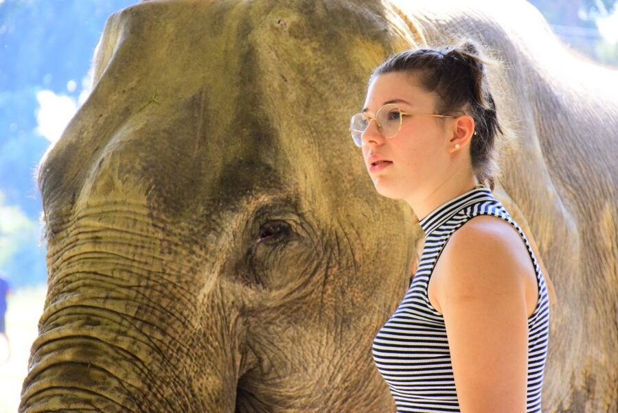 Phuket: Elephant Feeding Program - The introduction: ten minutes with a caretaker