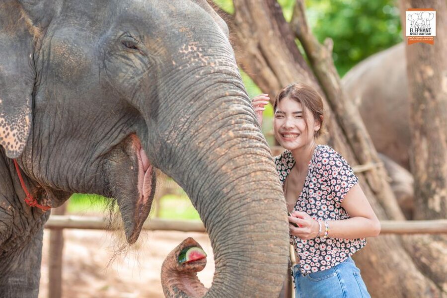 Phuket: Elephant Jungle Sanctuary Ethical Feeding Experience - Arriving at Elephant Jungle Cafe