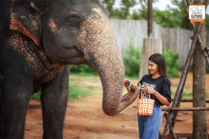 Phuket: Elephant Jungle Sanctuary Ethical Feeding Experience - Photos, the setting, and the soft drink