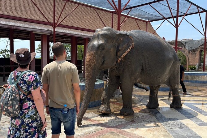 Phuket: Elephant Nature Walk - Guided Tour with Transport - Who will get the most from it