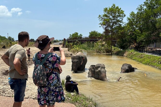 Phuket: Elephant Nature Walk - Guided Tour with Transport - FAQ