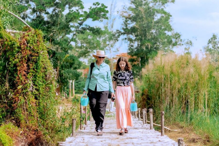 Phuket: Elephant Sanctuary Feed and Bathe Gentle Giants - Should you book it?