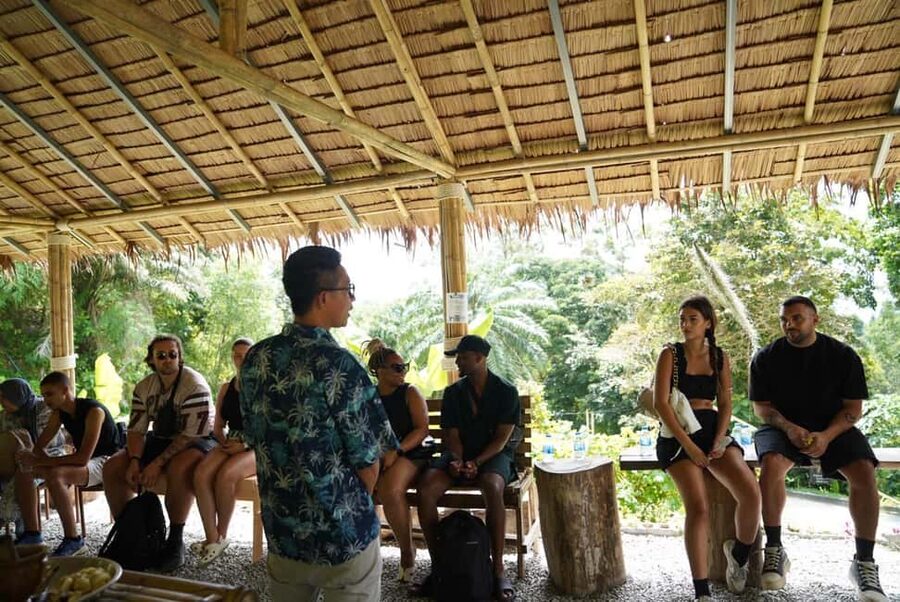 Phuket: Elephant Sanctuary Guided Tour with Hotel Transfers - Meeting rescued elephants on the hillside
