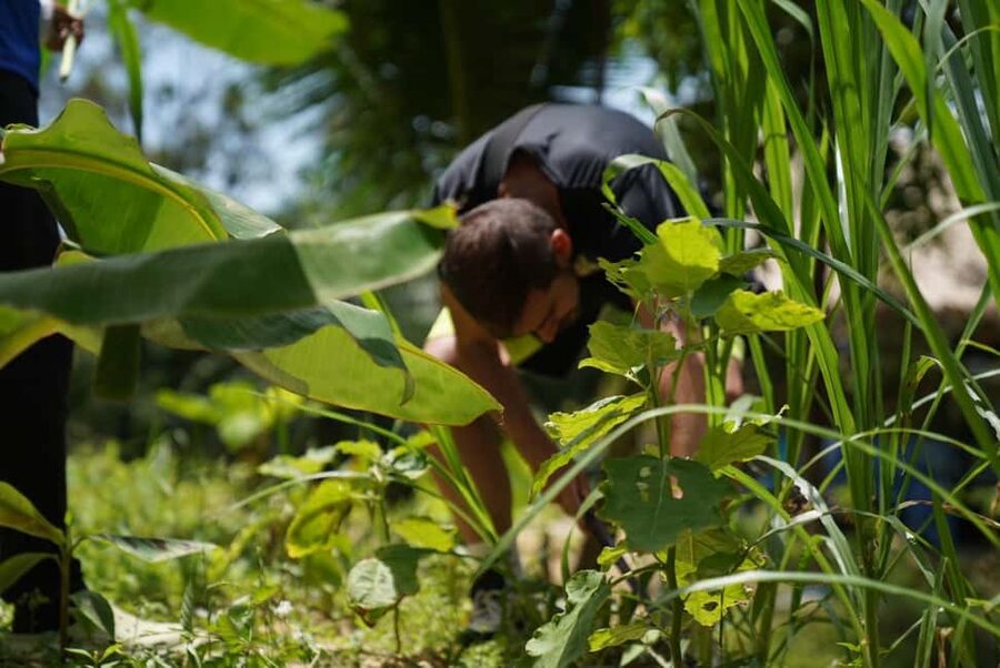 Phuket: Elephant Sanctuary Guided Tour with Hotel Transfers - Who will enjoy this visit most