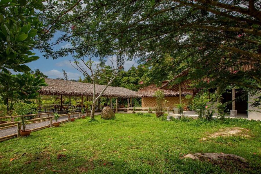 Phuket: Elephant Sanctuary Guided Tour with Hotel Transfers - Should you book it?