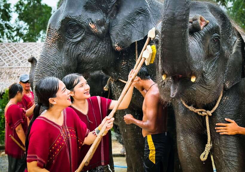 Phuket : Experience feeding and bathing elephants 1.5 Hrs. - What the price covers, and the buffet question
