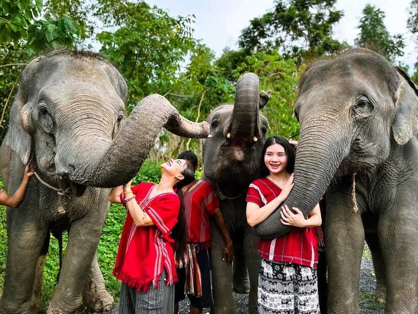 Phuket : Experience feeding and bathing elephants 1.5 Hrs. - What to wear and bring