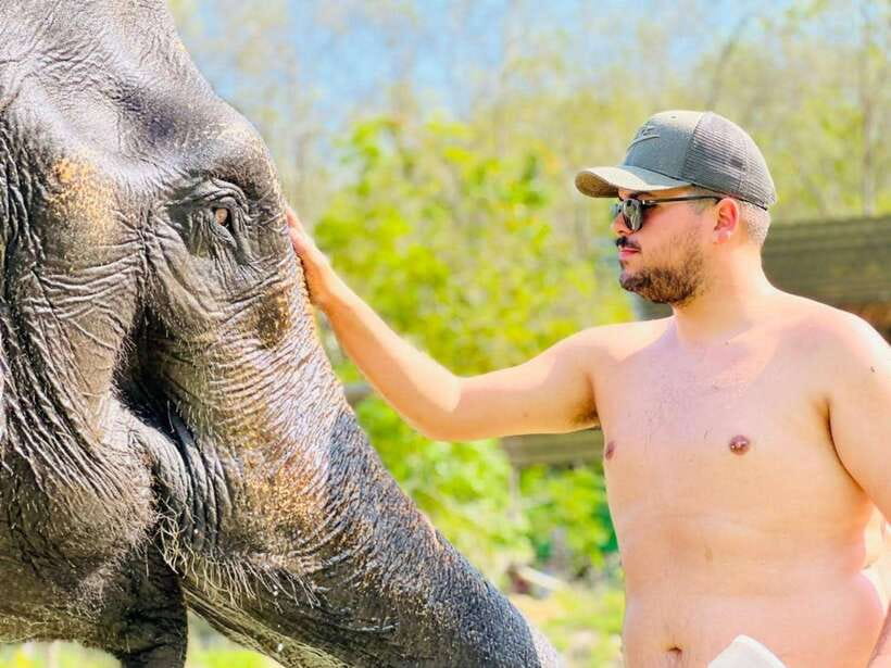 Phuket: Feeding Elephants at Phuket Elephant Care - Is $41 fair for a one-hour visit?
