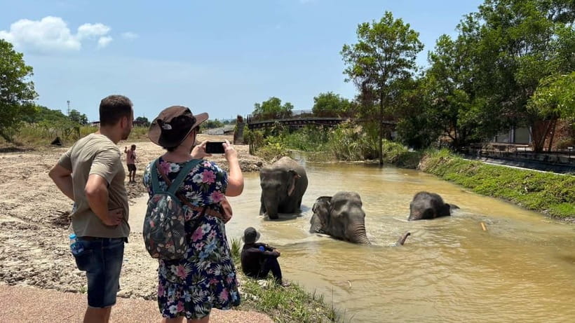 Phuket: Freedom Elephant Reserve - Ethereal Nature Walk - Is $51 good value?