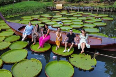 Phuket Giant Water Lilies & Temple Tour – Private & All-Inclusive