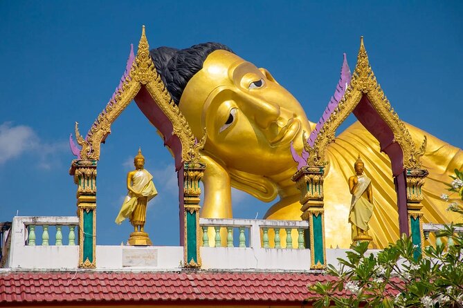 Phuket Giant Water Lilies & Temple Tour - Private & All-Inclusive - Transport, timing, and practical expectations