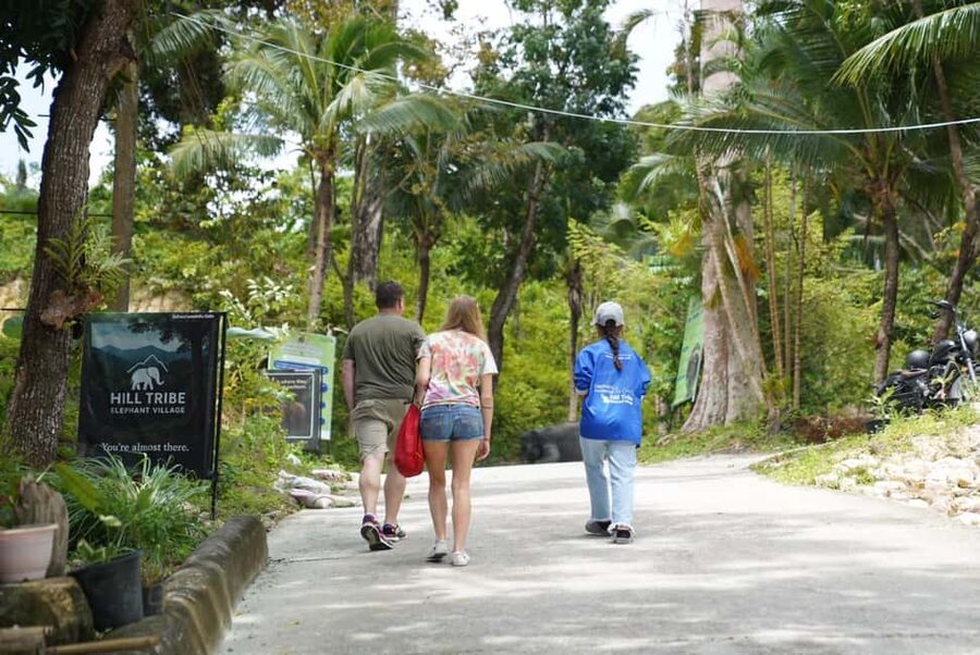Phuket: Guide Tour to Patong Elephant Sanctuary - What $45 buys, and who gets good value