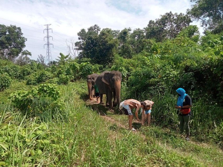 Phuket: Guide Tour to Patong Elephant Sanctuary - A respectful encounter, with practical limits