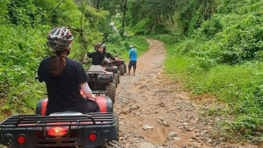 Phuket: Guided ATV Tour - Rubber Trees, Hills, and Sea-View Stops