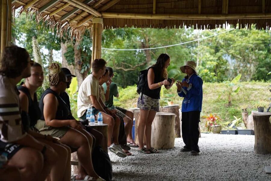 Phuket: Guided Tour to Elephant Sanctuary & Hotel Transfer - What the sanctuary visit can tell you