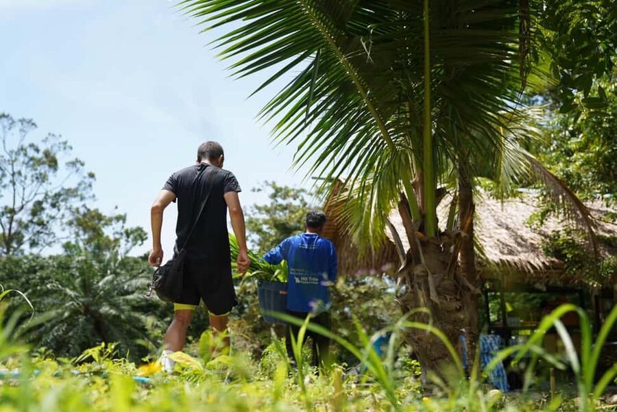 Phuket: Guided Tour to Elephant Sanctuary & Hotel Transfer - Heat, timing, and what to bring