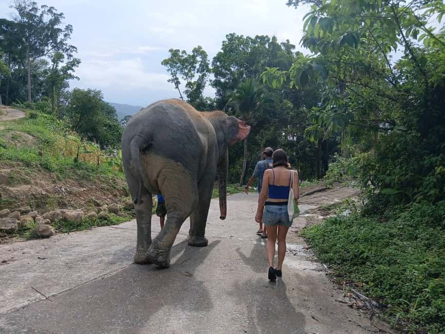 Phuket: Guided Tour to Elephant Sanctuary & Hotel Transfer - The route from hotel pickup to the sanctuary