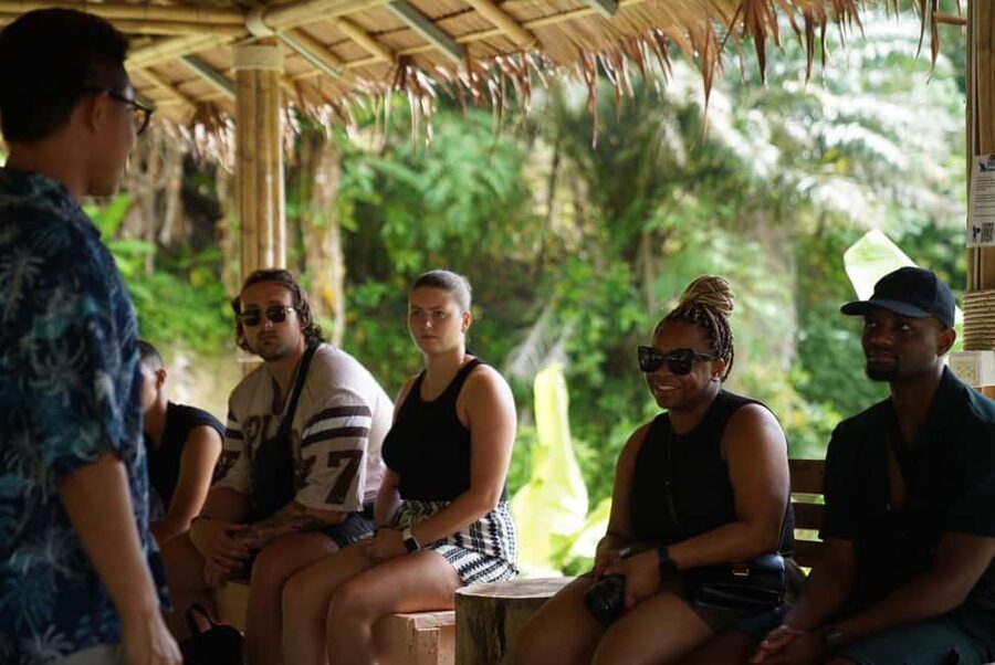 Phuket : Guided Tour to Elephant Sanctuary with Transfers - At a glance