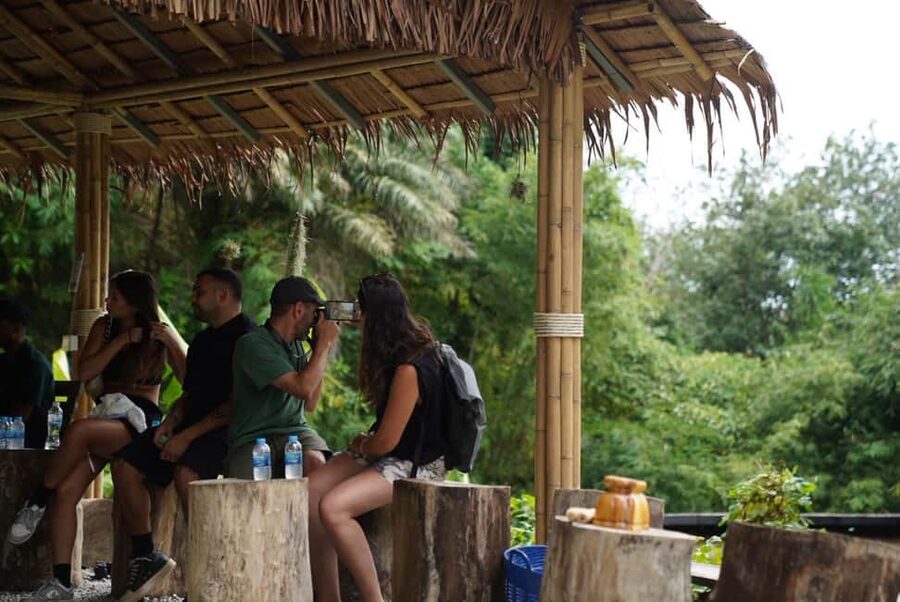 Phuket : Guided Tour to Elephant Sanctuary with Transfers - Preparing banana trees and grass