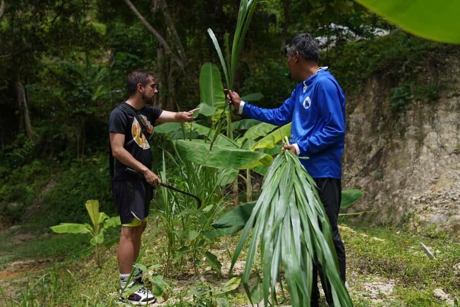 Phuket : Guided Tour to Elephant Sanctuary with Transfers - Should you book it?