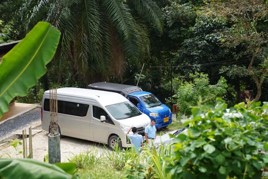 Phuket : Guided Tour to Elephant Sanctuary with Transfers - Walking in the forest, at the elephants’ pace