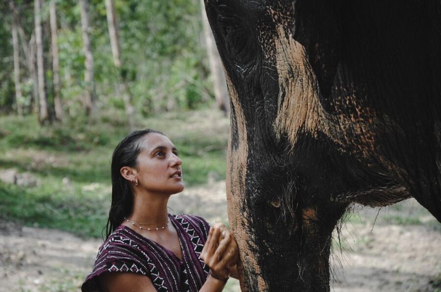 Phuket: Half Day or 2-Hour Ethical Elephant Care Sanctuary - Should you book it?