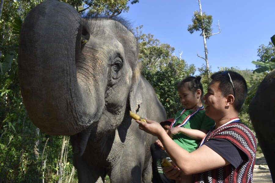 Phuket: Half Day or 2-Hour Ethical Elephant Care Sanctuary - What the bathing session is really like