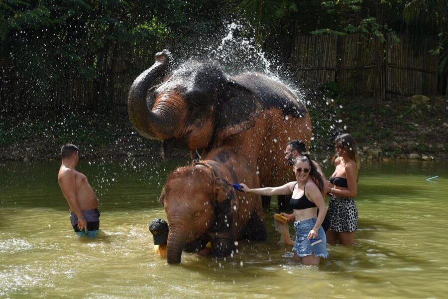 Phuket: Half Day or 2-Hour Ethical Elephant Care Sanctuary - Choose two hours or make a half-day of it
