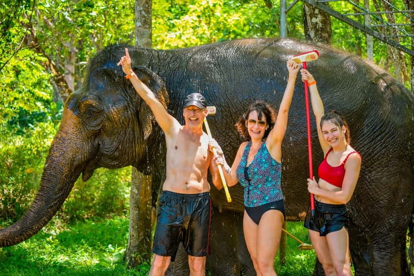 Phuket: Happy Hour Feed and Rain Shower with Elephant - What to know before you go
